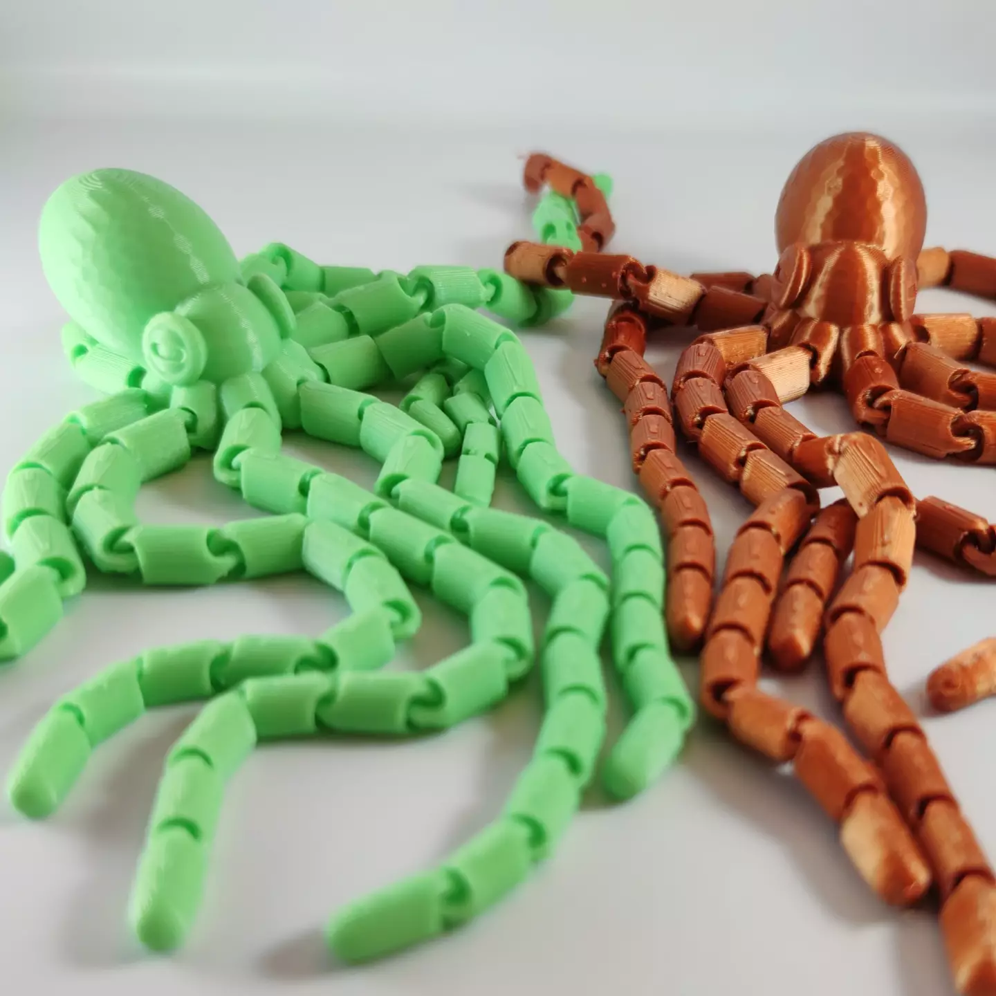 Octopus