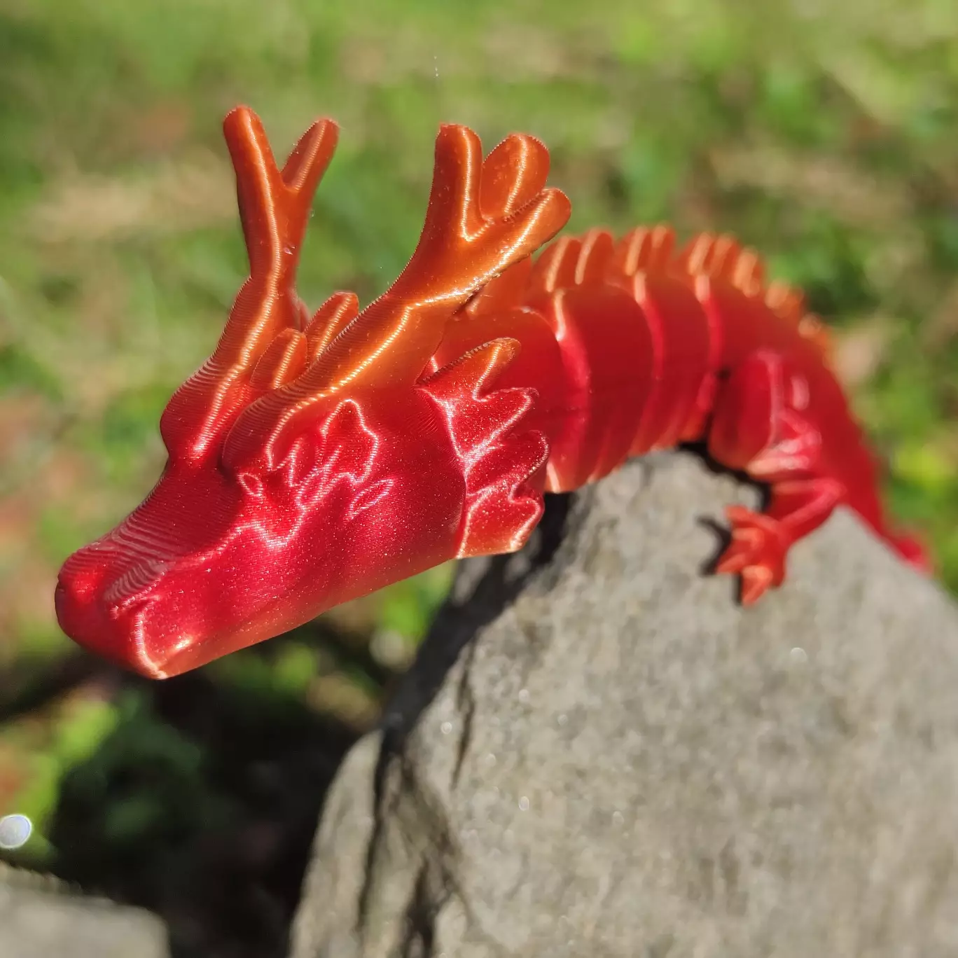 Dragons