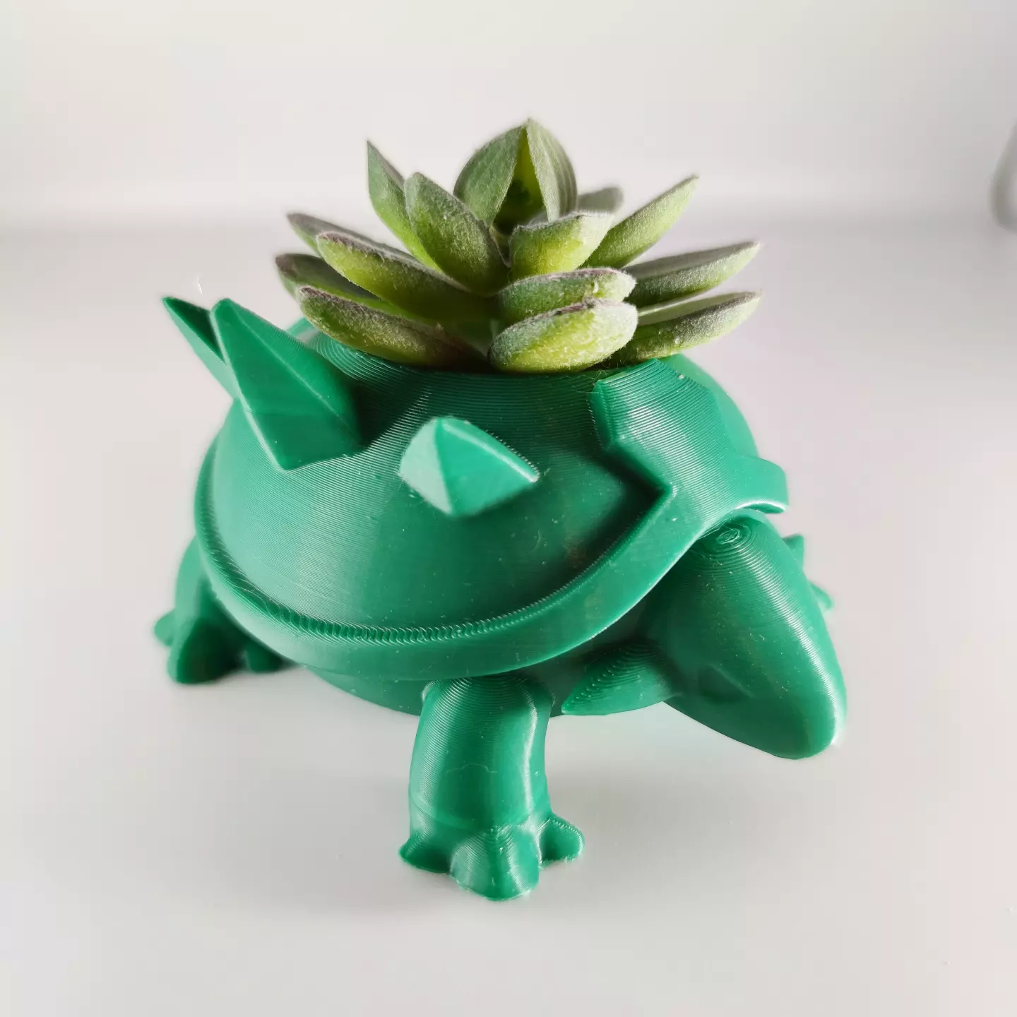 Torterra